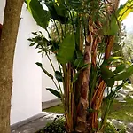 Testa Di Monaco Natural Hotel 2*