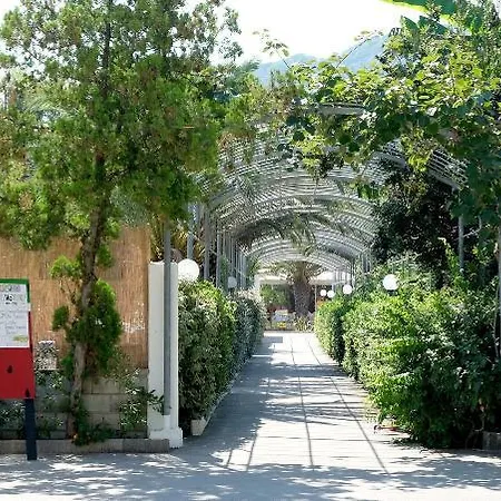 Testa Di Monaco Natural