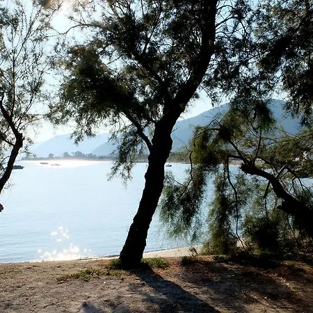 Testa Di Monaco Natural Ξενοδοχείο Capo dʼOrlando