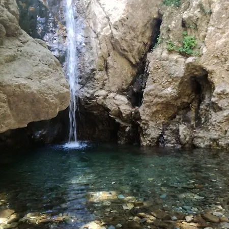 Testa Di Monaco Natural 2*