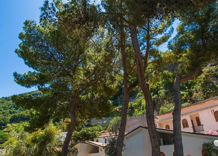 Testa Di Monaco Natural