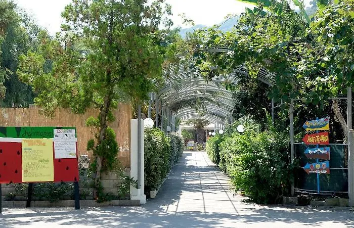 Testa Di Monaco Natural