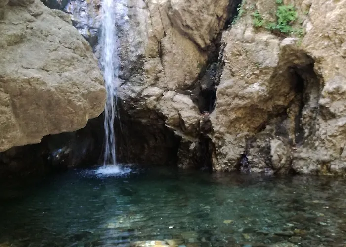 Testa Di Monaco Natural 2*